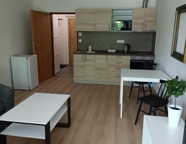 Apartment with Park View