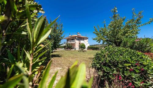 One-Bedroom Apartment with Garden