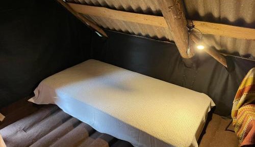 6-Bed Mixed Dormitory Room