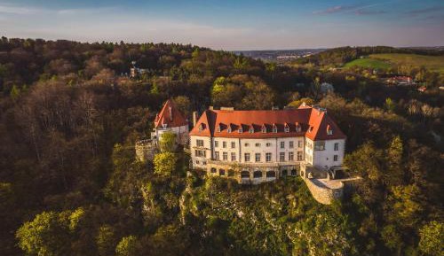 Grand Room in the Castle