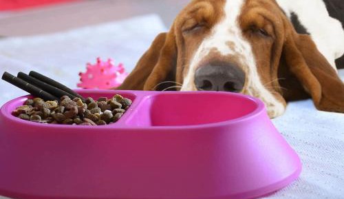 Twin Room with Bunk Bed