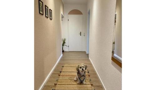 Superior One-Bedroom Apartment with Balcony