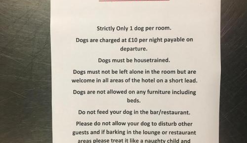 Family Room with Bathroom - 1st Floor - no elevator - Dog Friendly 