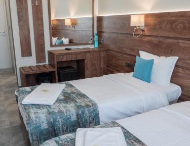 Double or Twin Room with Mountain View