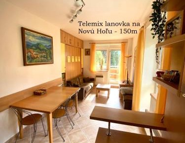 Apartment with Mountain View