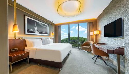 Collection Room with Forest View