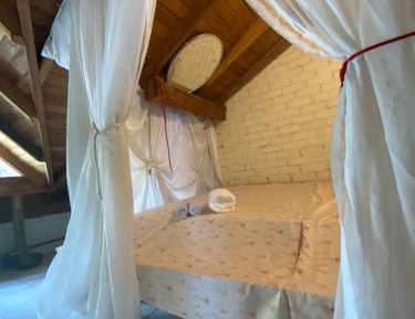 Basic Triple Room with Shared Bathroom
