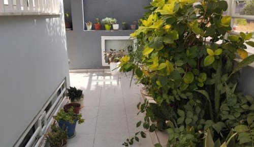 One-Bedroom Apartment with Garden