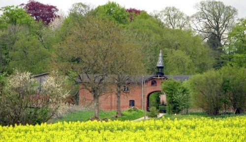 Two-Bedroom Superior Apartment
