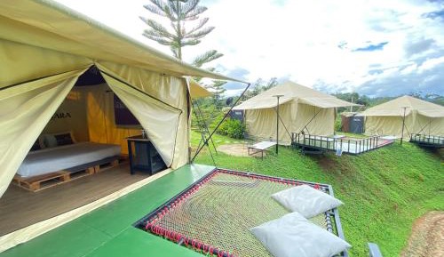Tent (Pyramid style)