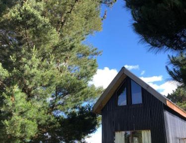 Family Room with Garden View