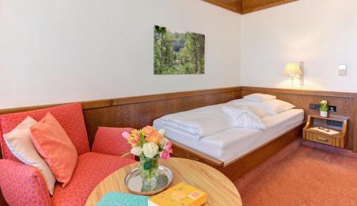 Single Room - Rinkenberg