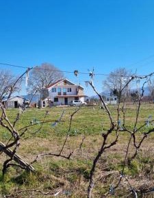 Family Room with Sea View