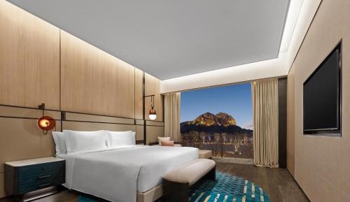 Mountain View Suite