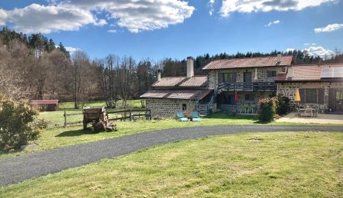 King Room with Garden View