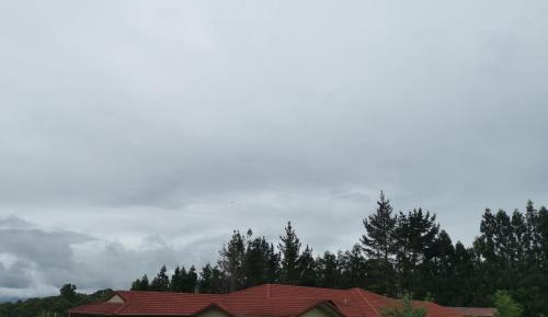 King Room with Mountain View