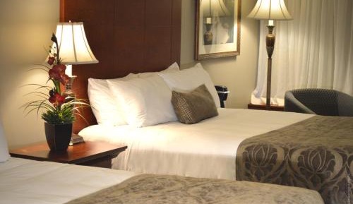 Superior Queen Room with Two Queen Beds