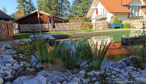 One-Bedroom Apartment with Shower