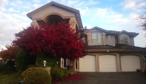Standard Villa
