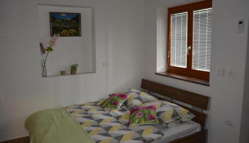 Double Room with Shared Bathroom