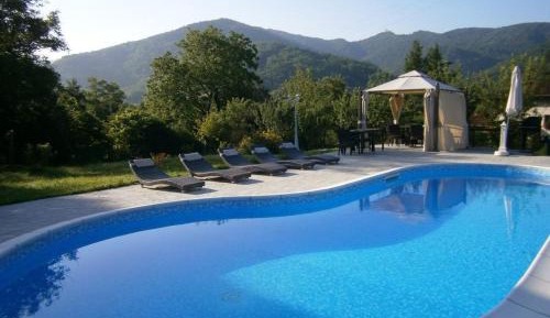 King Room with Pool View