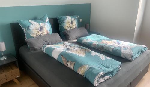 One-Bedroom Apartment with Shower