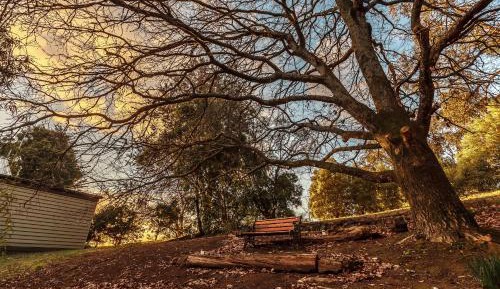 Two-Bedroom Chalet 2