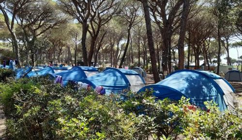 Small Empty Lot (Bring your own Tent)