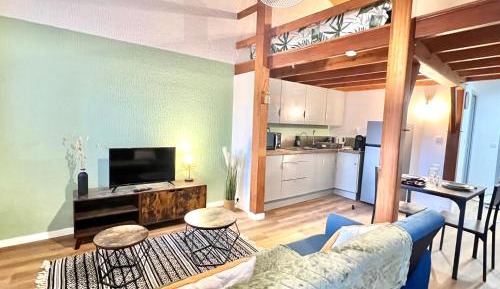 Superior Apartment