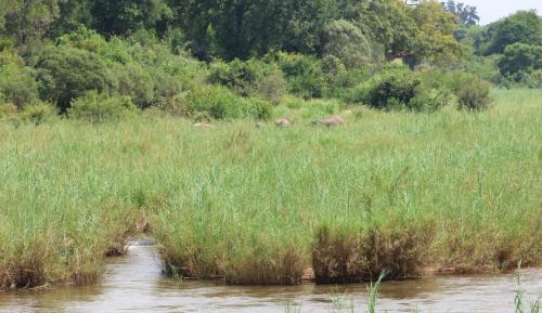 Luxury River Frontage Log Cabin 1