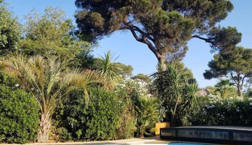 Three-Bedroom Chalet