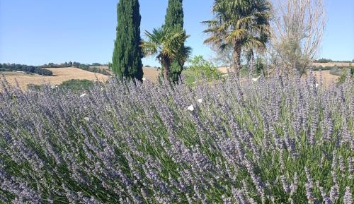 Apartment with Pool View 