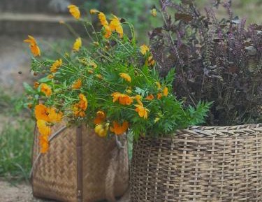 Family Room with Mountain View