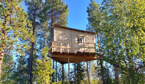 Treehouse
