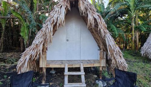 Mobile Home
