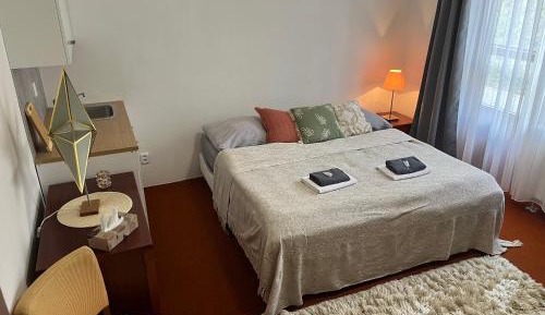 Double Room with Patio