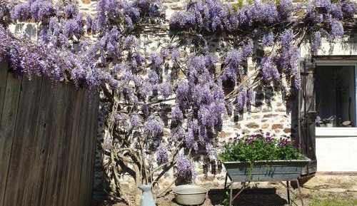 Triple Room with Park View