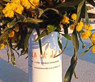 Queen Room with Garden View