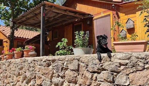 Cottage with Garden View