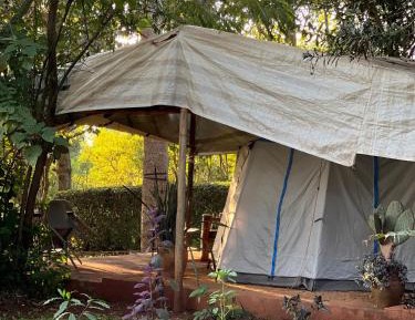 Tent