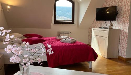 Double Room with Mountain View