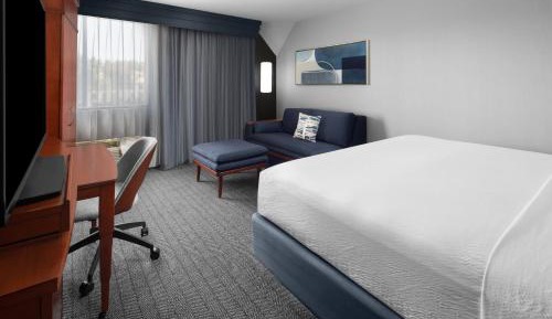 King Room with Sofa Bed