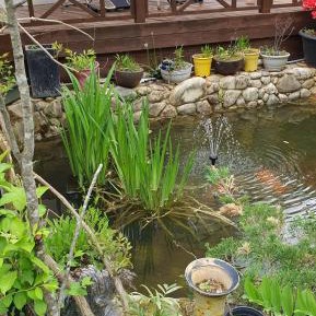 Two-Bedroom Townhouse