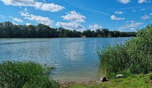 Villa with Garden View