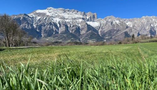 Two-Bedroom Apartment with Mountain View