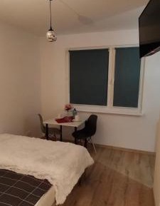 Studio Apartment with Queen Bed