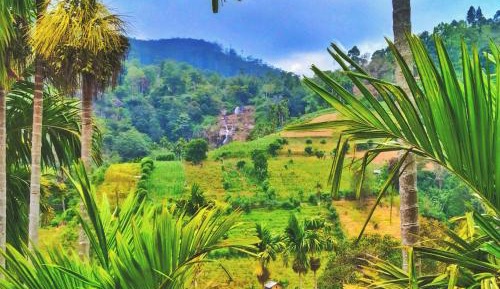 Family Room with Mountain View