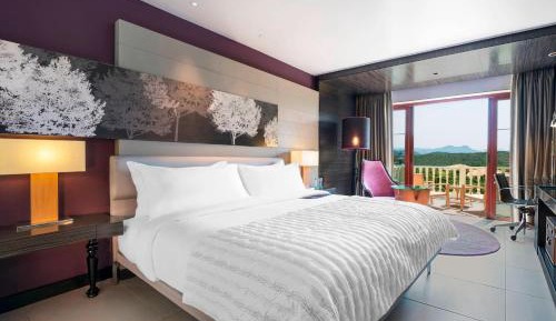 1 King Bed, Guest Room