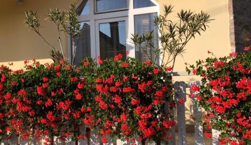 Triple Room with Mountain View