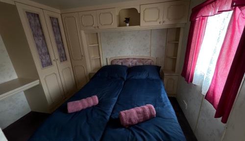 Mobile Home